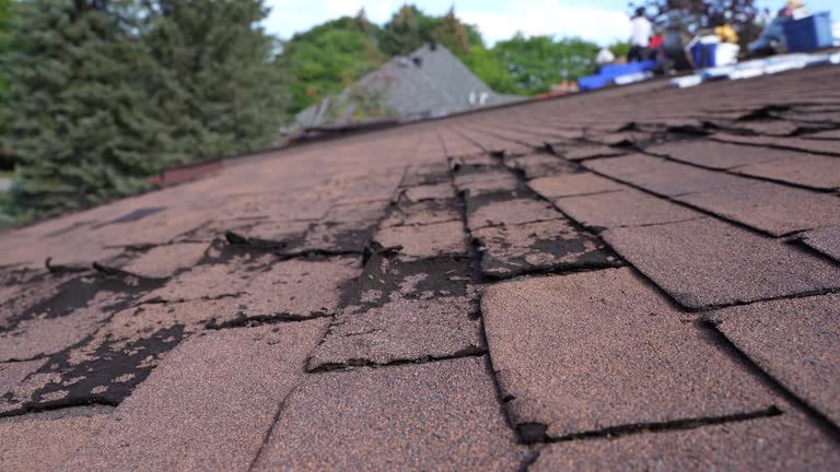 Best Skylight Installation and Repair  in Bedford Heights, OH